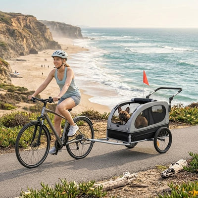 remorque vélo pour grand chien bouledogue français cycliste bord mer