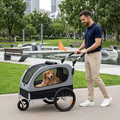 remorque vélo pour grand chien mode poussette homme golden retriever parc urbain