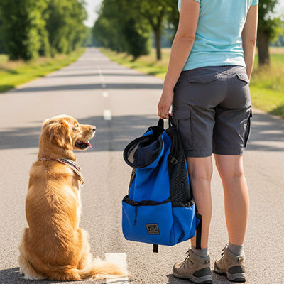 sac a dos chiens golden retriever bleu depart balade nature