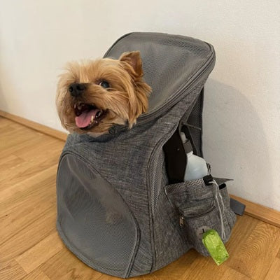 sac a dos pour chien petit chien bien etre securise ouverture haute
