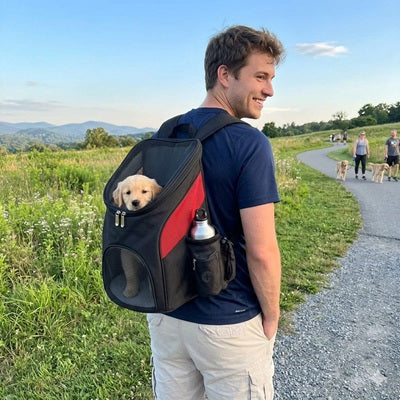 sac a dos pour chien promenade chiot ergonomique confort transport exterieur