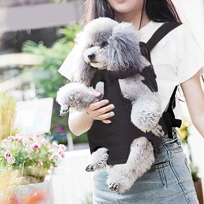 sac de transport chien noir caniche gris exterieur confortable voyage securise