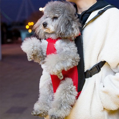 sac de transport chien rouge caniche gris voyage confortable securise premium