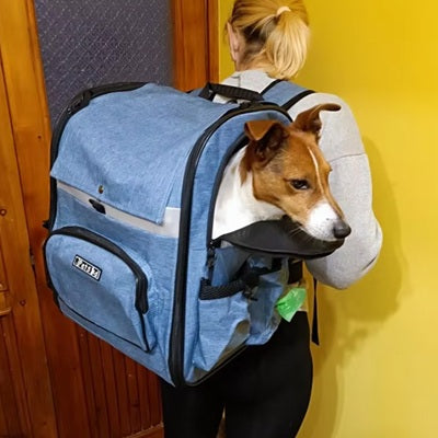 sac de transport de chien bleu femme promenade terrier urbain