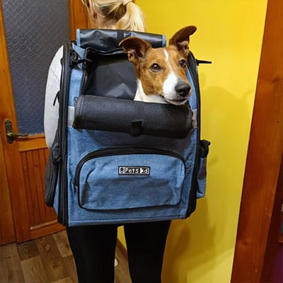 sac de transport de chien bleu ouverture tete terrier alerte
