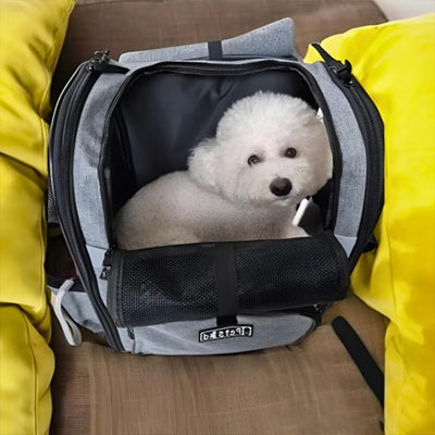 sac de transport de chien gris ouvert bichon blanc interieur canape