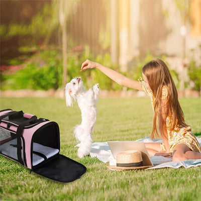 sac pour chien rose jardin enfant chien blanc jeu exterieur famille premium