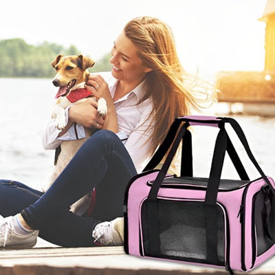 sac pour chien rose lac detente femme petit chien voyage exterieur premium