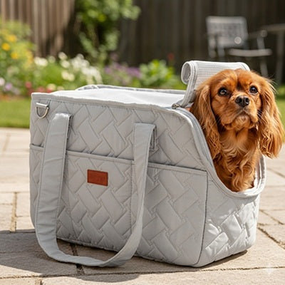 sac pour transport chien gris cavalier king charles jardin ouvert
