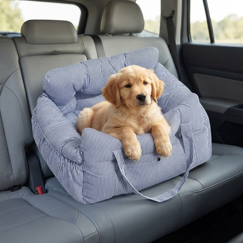 Siège auto chien rayé bleu chiot Golden Retriever banquette arrière