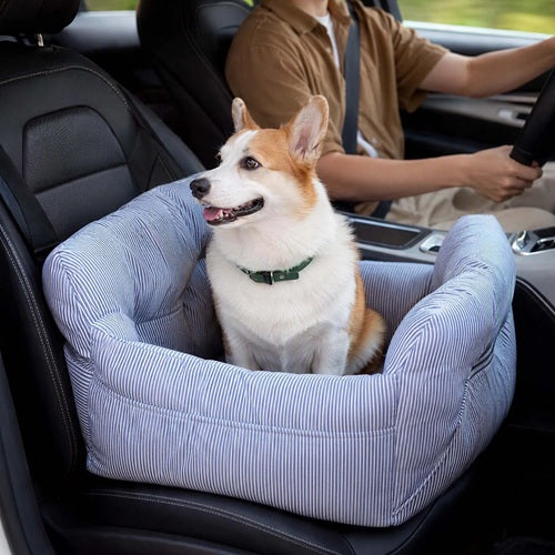 Siège auto chien rayé bleu Corgi place passager avec conducteur