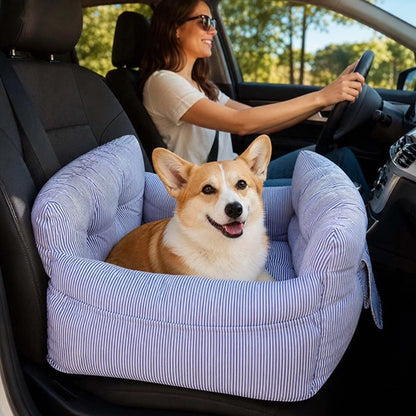 Siège auto chien rayé bleu Corgi place passager avec conductrice