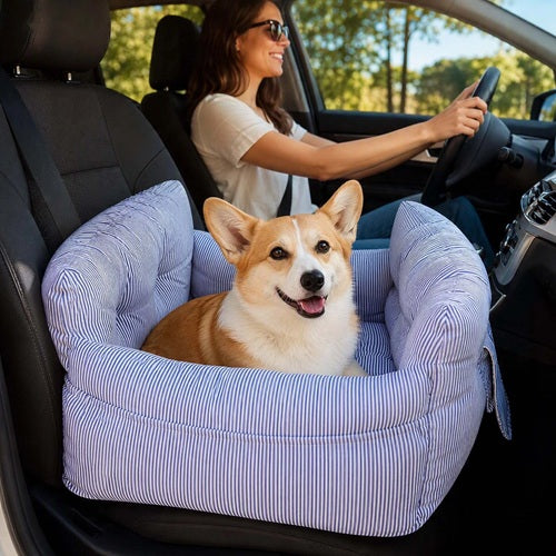 Siège auto chien rayé bleu Corgi place passager avec conductrice