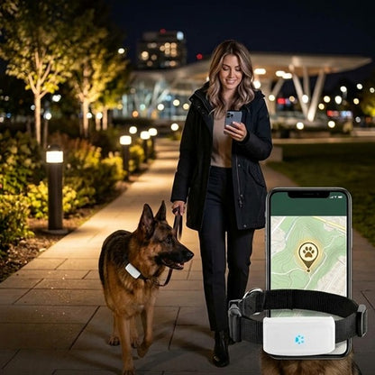 Traceur pour chien sans abonnement sécurité GPS promenade nocturne