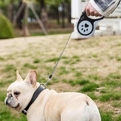 un chien est attache a une laisse enrouleur chien tenue par la main d un homme Ils se trouvent dans un parc verdoyant