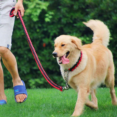 un-chien-marche-dans-un-parc-attache a une laisse chien rouge et noire tenue par la main d un homme