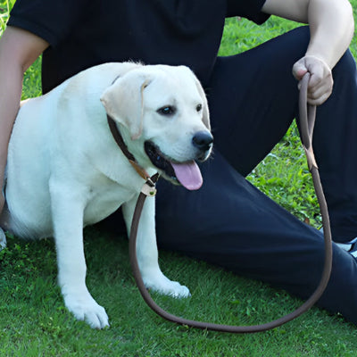 un homme assis sur le gazon a cote de son chien attache avec une laisse de chien
