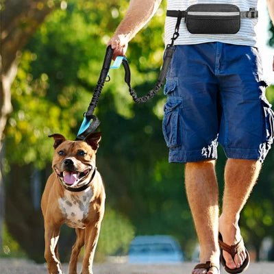 un homme avec un bermuda bleu et claquettes marche sur une route boisee avec son chien brun attache avec une laisse chien main libre