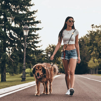 une femme chic et son chien marchent sur une route le chien attache avec une laisse mains libres pour chien confortablement et avec style