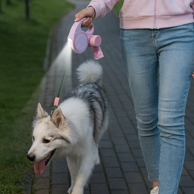 une fille marche sur une route pavee avec son chien elle porte une veste rose et tient une laisse a enrouleur pour chien dont la torche est allumee eclairant le chemin devant eux