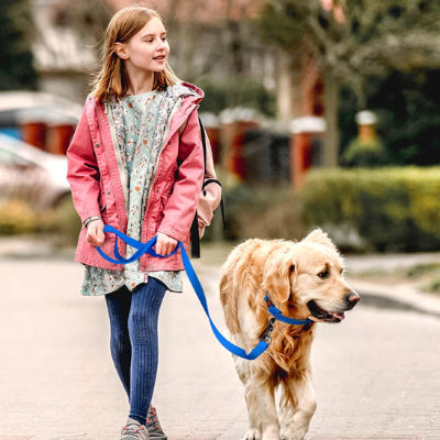 une fillette en veste rose promene son chien avec une laisse pour chiens bleue