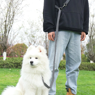 une personne debout avec une laisse pour chien main libre grise tenant un beau chien blanc assis sur l herbe