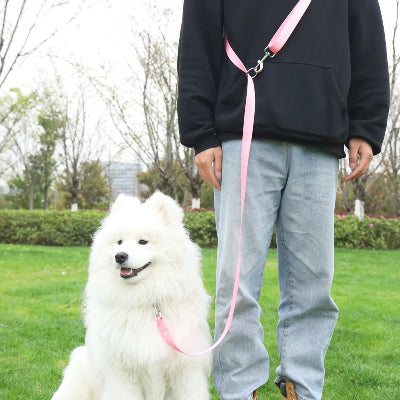 une personne debout avec une laisse pour chien main libre rose tenant un beau chien blanc assis sur l herbe