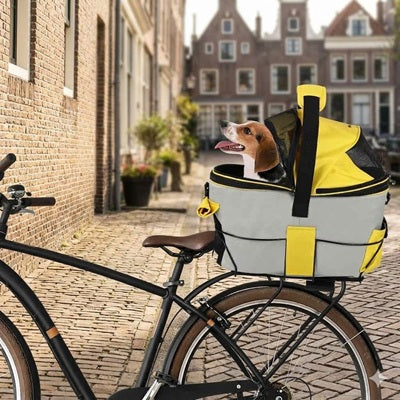 vélo panier pour chien beagle ruelle pavée ville hollandaise